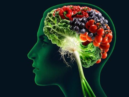 comida-y-cerebro